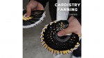   Cardistry Fanning Yellow