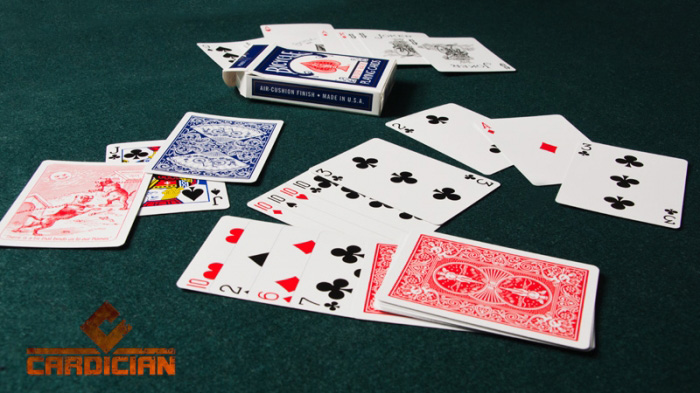 Bicycle Elite Gaff Deck 