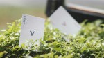  Vigor Playing Cards 
