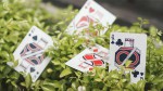   Vigor Playing Cards