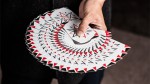  Cardistry Fanning (White) 