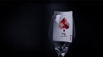   Skymember Presents Blood Amber