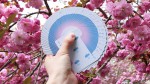   Hanami 