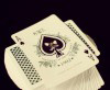 купить Bee Erdnase Deck купить Bee Erdnase Deck