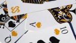   The Games of Spades Expert 