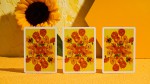 купить Колода карт Van Gogh (Sunflowers Edition)