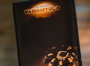  Tarantula by Yigal Mesika 