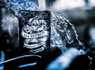  Sea Shepherd Deck 