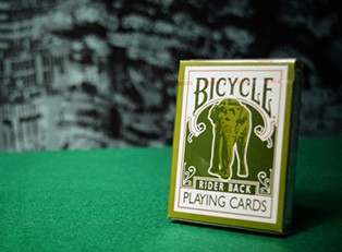   Bicycle Elephant 